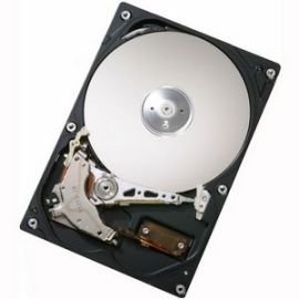 HGST 0A33494 160GB SATA 3Gb/s 3.5-inch Desktop Hard Drive