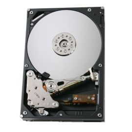 Hitachi 0A35770 500GB SATA 3Gb/s 3.5-inch Server Hard Drive
