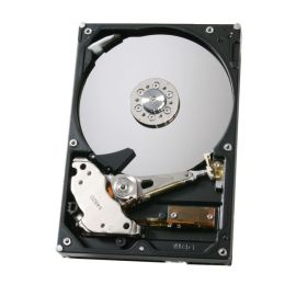 HGST 0A36889 320GB SATA 3Gb/s 3.5-inch Desktop Hard Drive