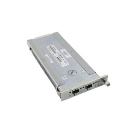 IBM 19K1269 Dual-Ports 2GbE network module