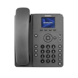 Sangoma 1TELP310LF 2-Lines Dual-Port Ethernet P310 VoIP Phone