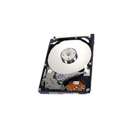 Lenovo 42T1573 250GB SATA 1.5Gb/s 2.5-inch Laptop Hard Drive