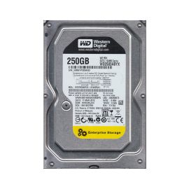 Western Digital WD2503ABYX-01WERA1 RE4 250GB SATA 3Gb/s Desktop Hard Drive