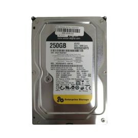 Western Digital WD250ABYS RE3 250GB SATA 3Gb/s Desktop Hard Drive